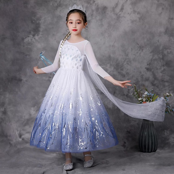 Luxury Frozen Elsa Sparkly Costume Dress 5018 - Picture 4 of 7